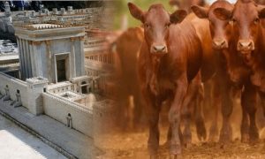 Bible Prophecy in the News – 18 July 2025